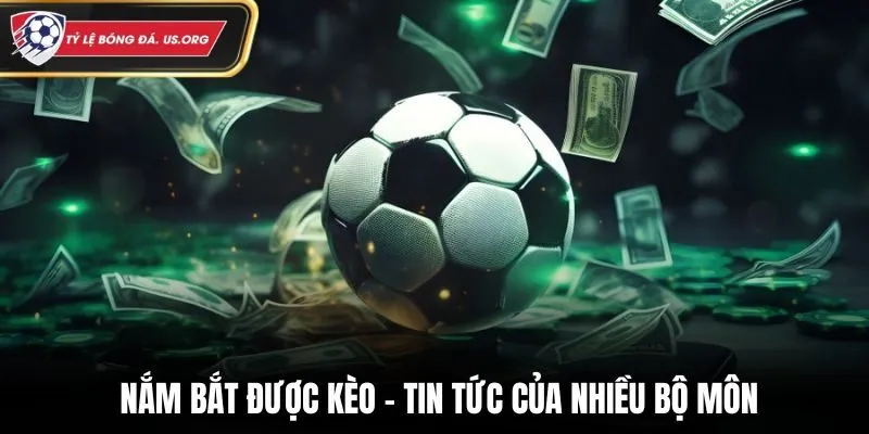 Bài viết tại kênh 7M chia sẻ kèo và tin trận đấu